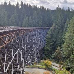 Kinsol Trestle Bridge