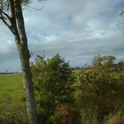 In der Nähe von Schloss Hoyerswort