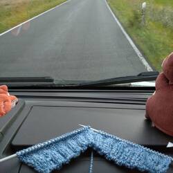 Beschäftigung während der Fahrt