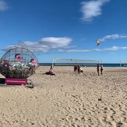 Volleyball on the beach - like the Poisssons Gloutons