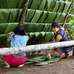 Helfen beim Hausverkleiden