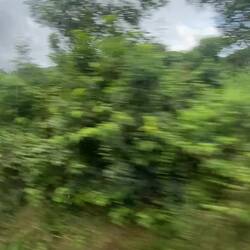 Beautiful countryside