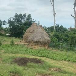 Not sure what these are used for but every house had them - barn?