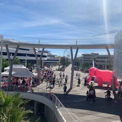 Some kind of walk - not sure the cause