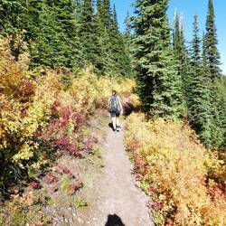 Autumn colors going up Huckleberry Mtn