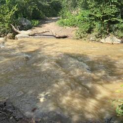 Floden vi var nødt til at krydse