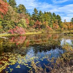 Winnipesaukee Lake - spot the heron 😉