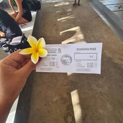 Mein Ticket und kleiner Glücksbringer 🌸