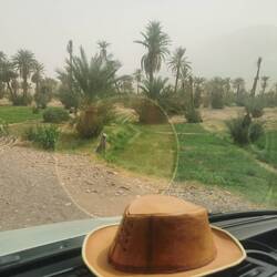 Endlich mal ein wenig grün