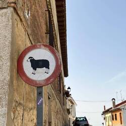 Can honestly say i jave never seen a "No sheep" sign before!