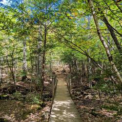 Easy walking trail for our penultimate hike