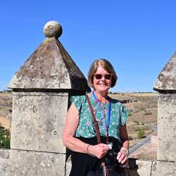 On top of the alcazar
