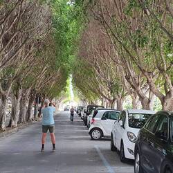 Auf dieser Allee verlässt man die Stadt
