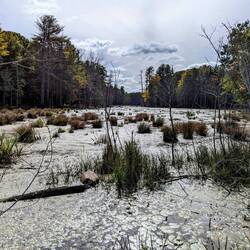 Colby Marsh - close to Durham, New Hampshire