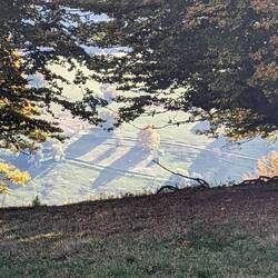 An Impressionist moment