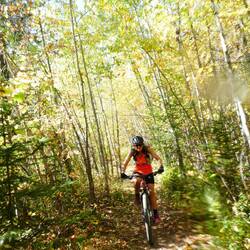 Some nice biking through the autumn forest