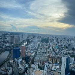 View from top of Bitexco tower