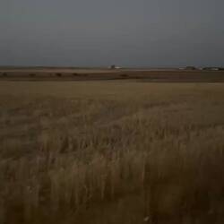 Pilgrims before dawn