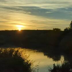 Sonnenuntergang über dem Main
