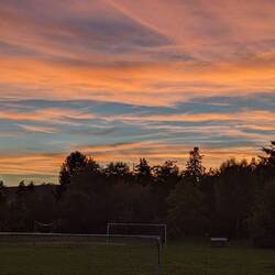 Auf dem Weg in die Stadt