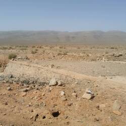 Die alte Straße bleibt bestehen, bis die Umwelt sie vereinnahmt