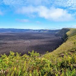 Zu riesig für jeden Weitwinkel
