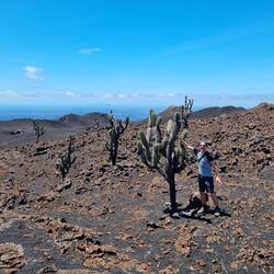 Kaum noch Vegetation 🏜