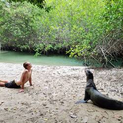 Zu Besuch bei Mr. Rob 🦭