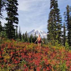Mount Rainier umhüllt von Herbstfarben