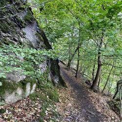 auf schmalen Pfaden verlassen wir den Drachenfels