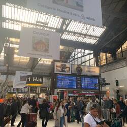 Gare du Lyon in Paris - hectic