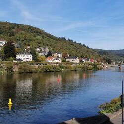 Der Neckar von der Alten Brücke gesehen