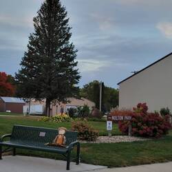 City park across from restaurant
