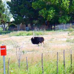 Guess how hard I hit the brakes 🤣🤣🤣