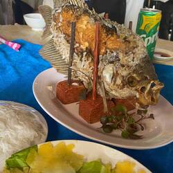 Rainbow fish for lunch - actually yummy