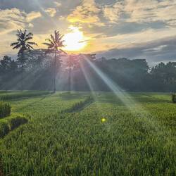 Morning Walk um 6Uhr