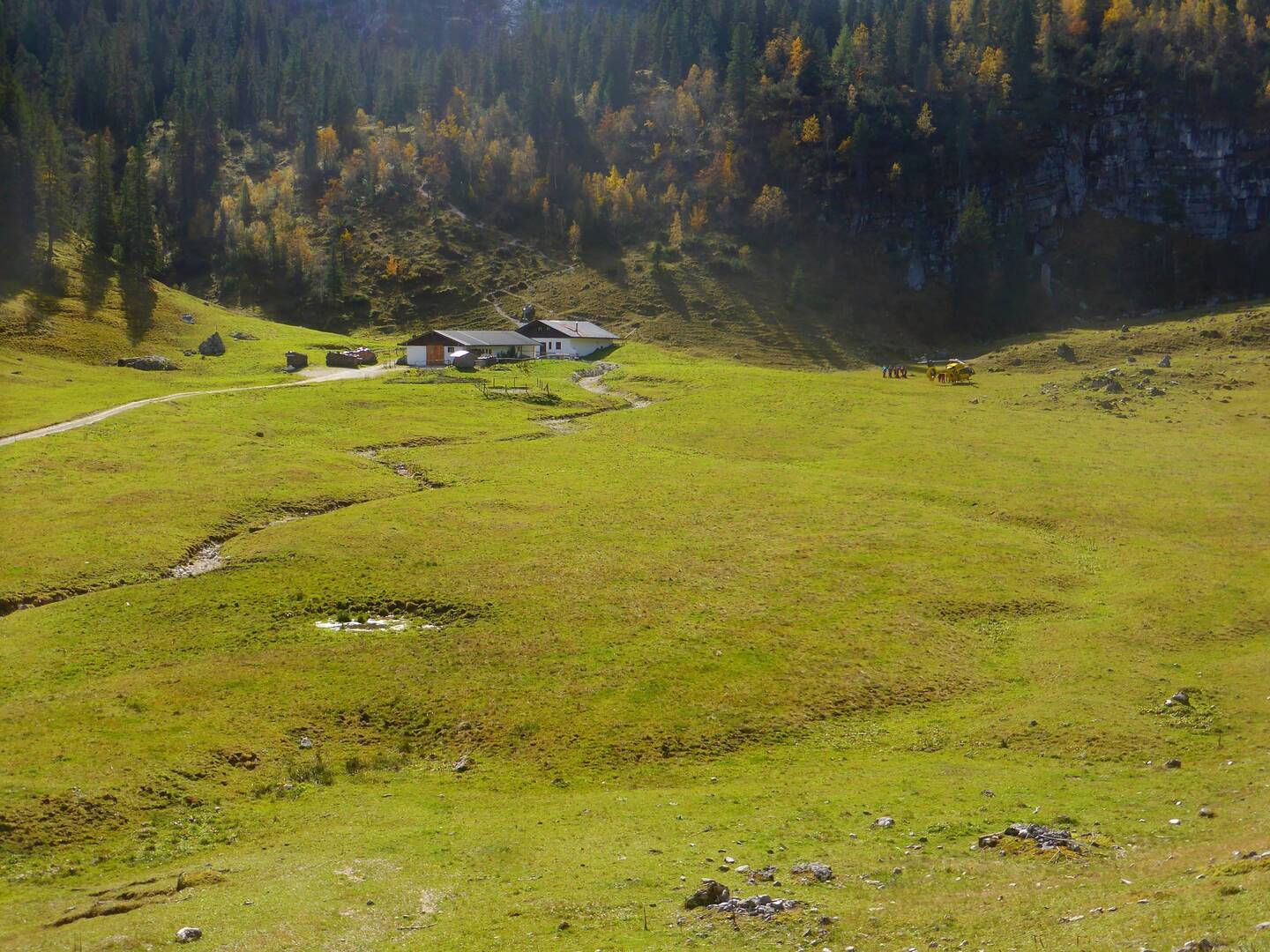 Wettersteinalm