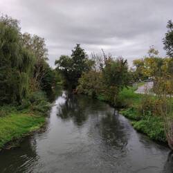 Weiße Elster bei Schkeuditz