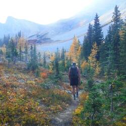 Walking down through the meadows