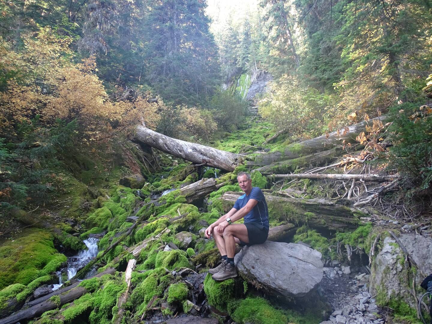 The mossy "Jumping Waters"