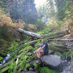 The mossy "Jumping Waters"