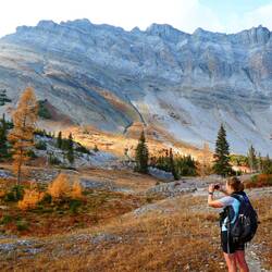 Love the colours in the meadows