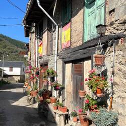 Pereje homes. Love all the flowers!