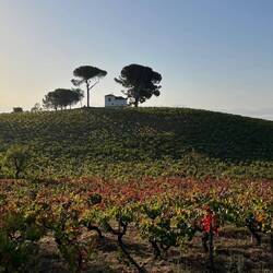 The house on the hill