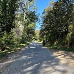 Shady walk, coming up to Trabadelo
