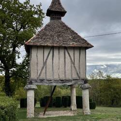 We think this was an extravagant pidgeon coup