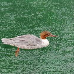 Nasses von oben und unten