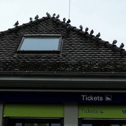 Der Ticketschalter der BLS Schifffahrt