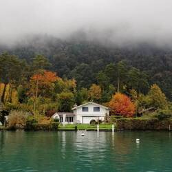 Prächtige Herbstfarben auch ohne Sonne