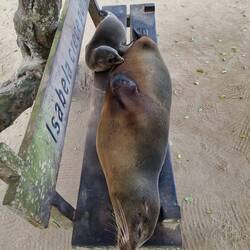 Ja, man hört den Kleinen schmatzen 😍